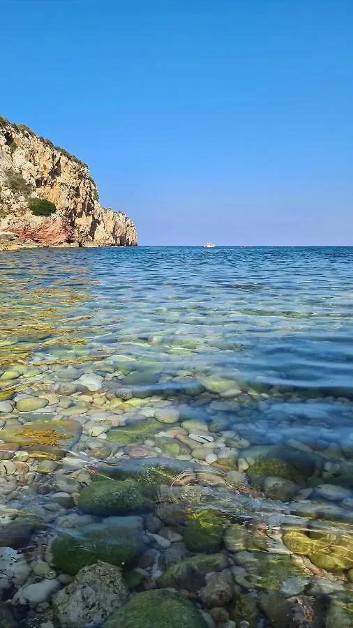 Cocciu D'Amuri Terrasini Italie