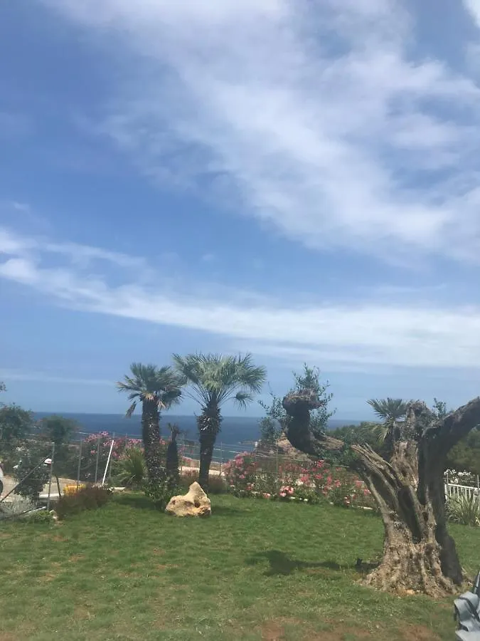 Cocciu D'Amuri Terrasini