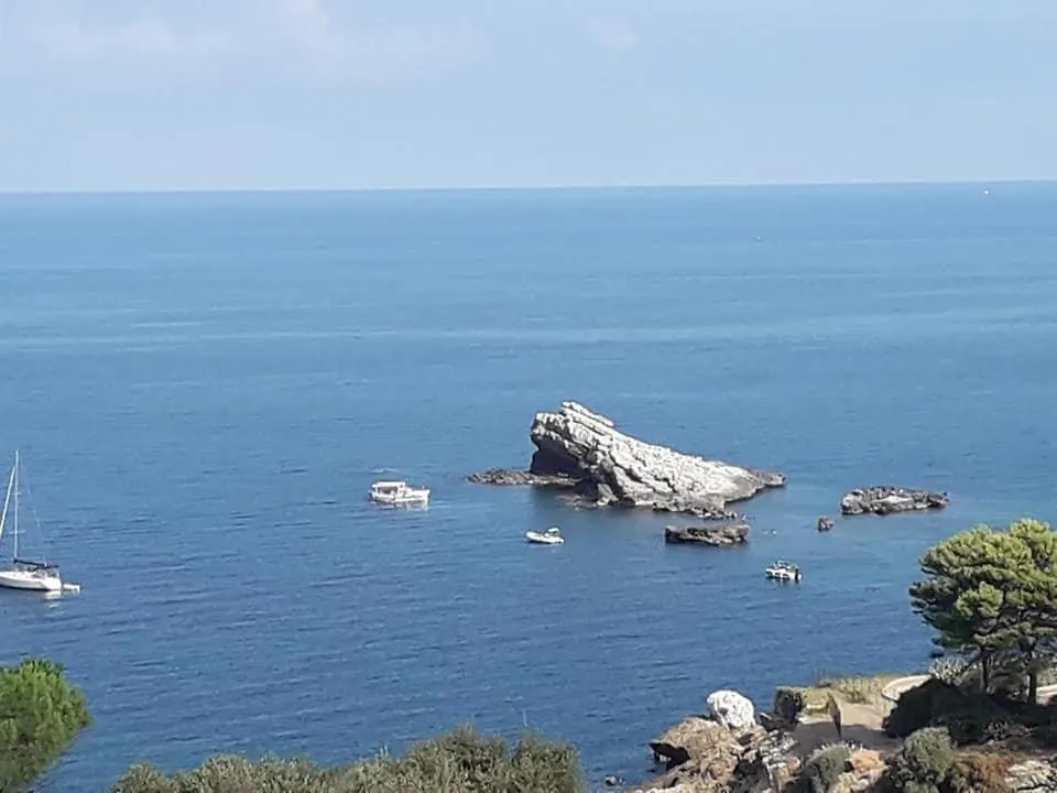 Cocciu D'Amuri Terrasini 0*,  Italië