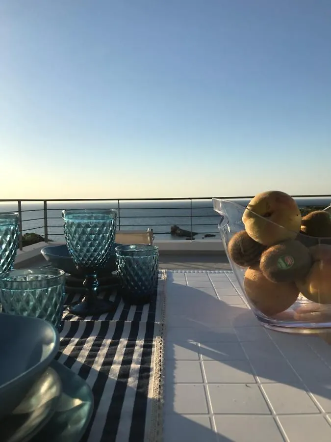 Cocciu D'Amuri Terrasini Italy