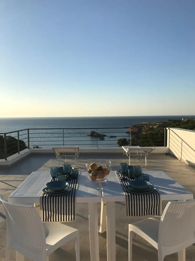 Cocciu D'Amuri Terrasini Italy