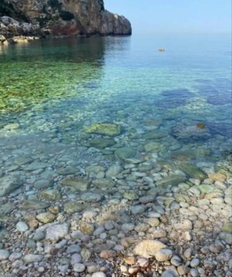 Cocciu D'Amuri Terrasini