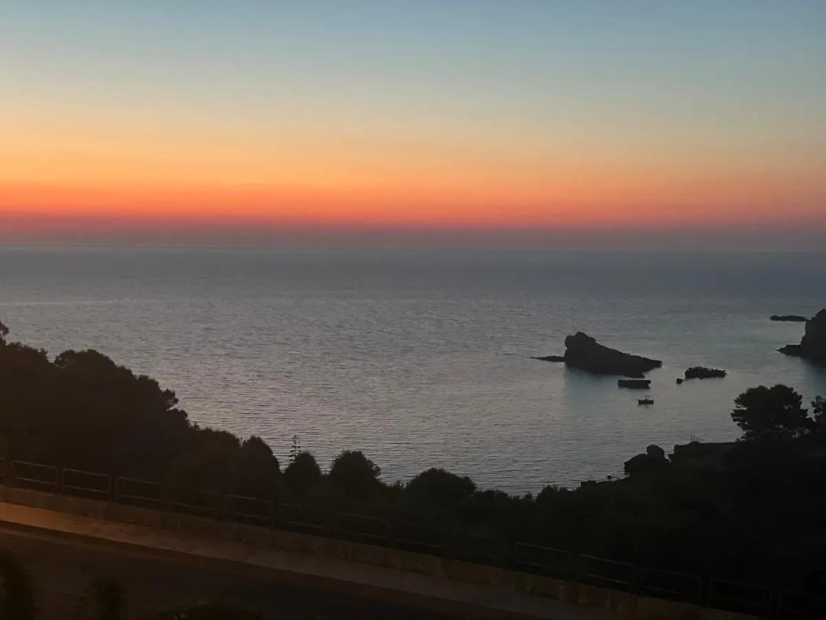 Cocciu D'Amuri Terrasini